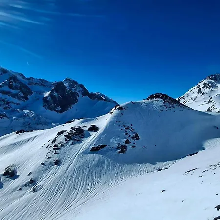 Petit Nid Au Pic Du Midi *